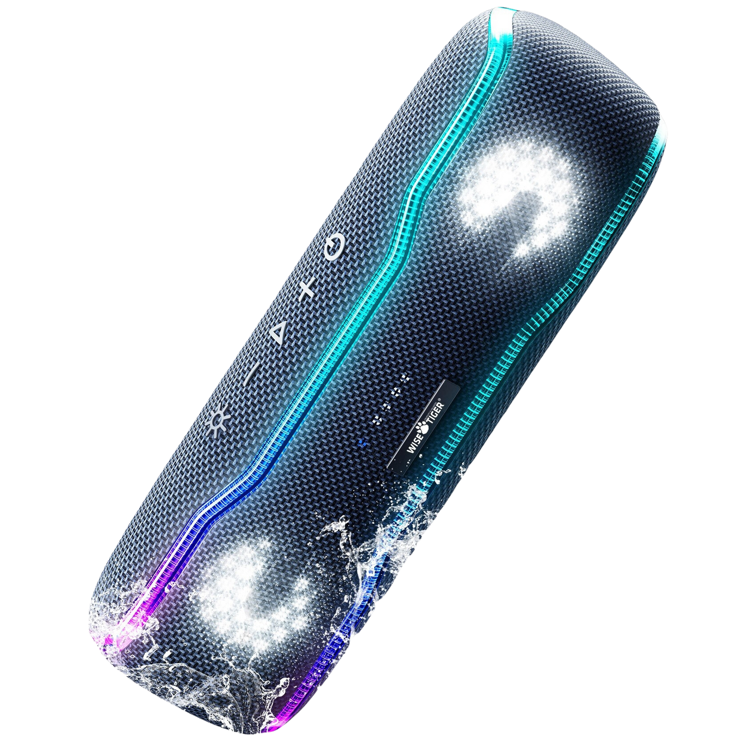 Wise Tiger Outdoor Speaker