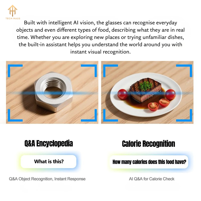 Tech-Haus Vision AI+ Smart Glasses