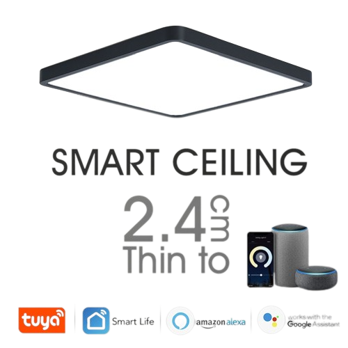 Smart LED Ceiling Lamp