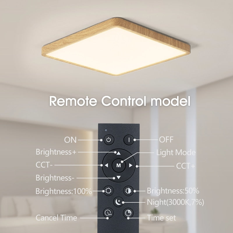 Smart LED Ceiling Lamp