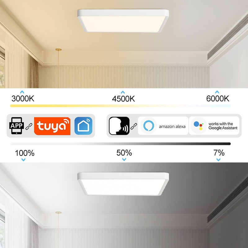 Smart LED Ceiling Lamp