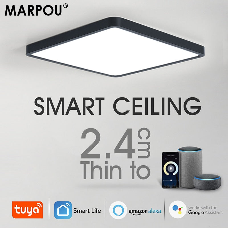 Smart LED Ceiling Lamp