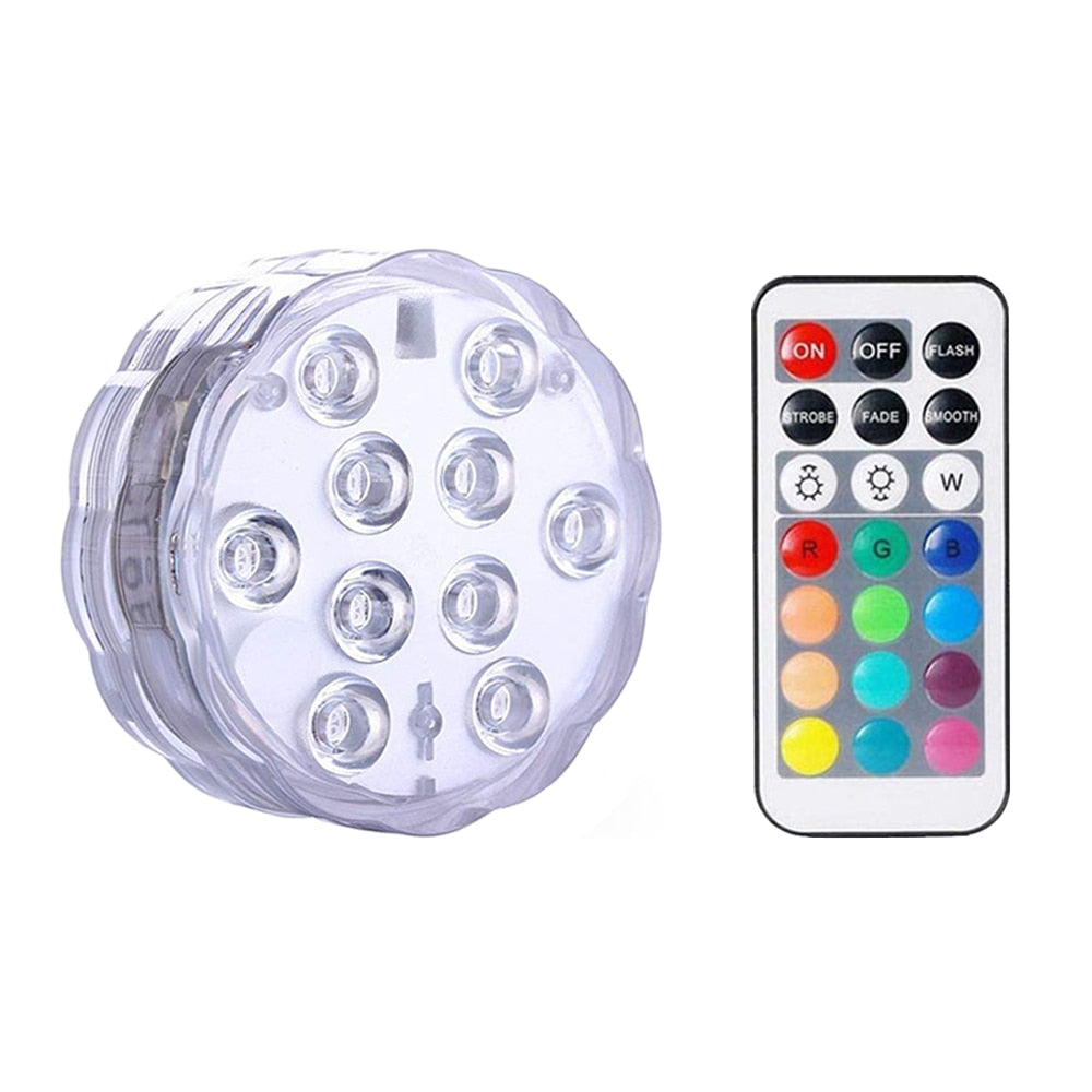 Submersible LED Light