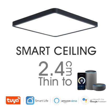Smart LED Ceiling Lamp