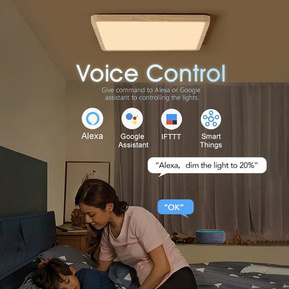 Smart LED Ceiling Lamp
