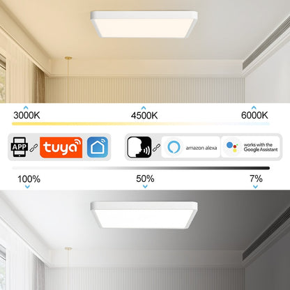 Smart LED Ceiling Lamp