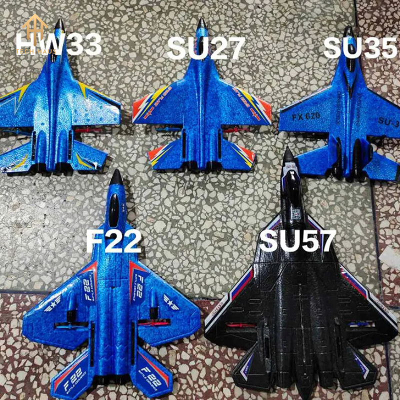 RC Fighter Jet Plane F-22 Raptor and Sukhoi Su-27