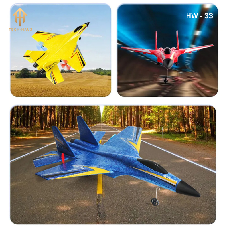 RC Fighter Jet Plane F-22 Raptor and Sukhoi Su-27