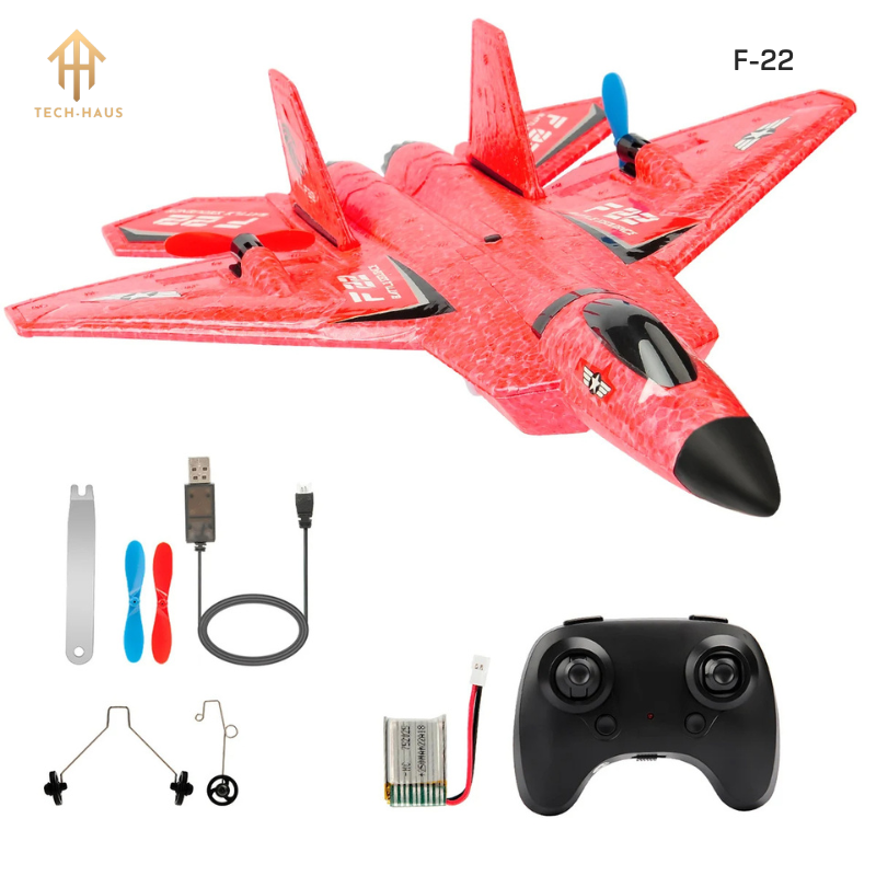 RC Fighter Jet Plane F-22 Raptor and Sukhoi Su-27