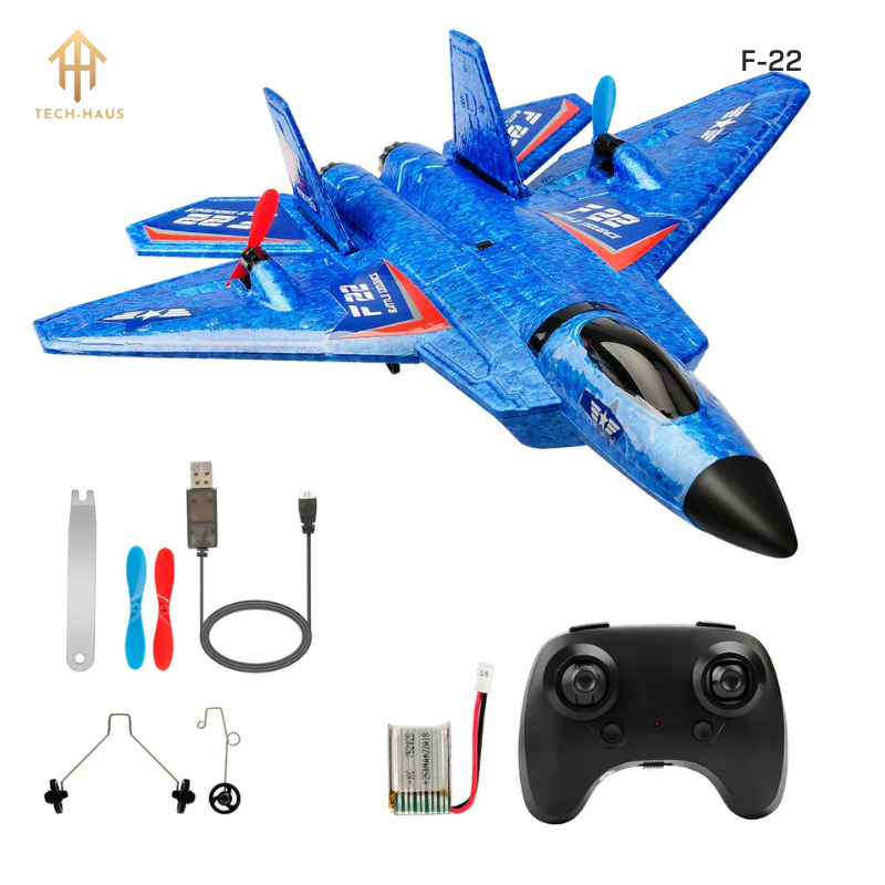 RC Fighter Jet Plane F22 Raptor and Sukhoi Su27 TechHaus