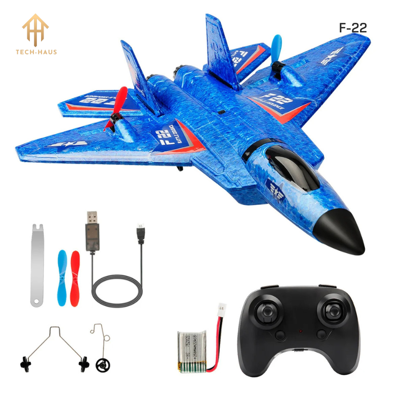 RC Fighter Jet Plane F-22 Raptor and Sukhoi Su-27