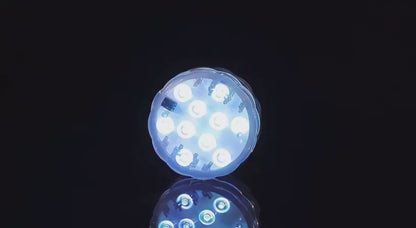 Submersible LED Light